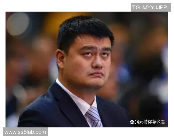 阿拉与姚明的传奇故事：从篮球场到文化交流的深度探索